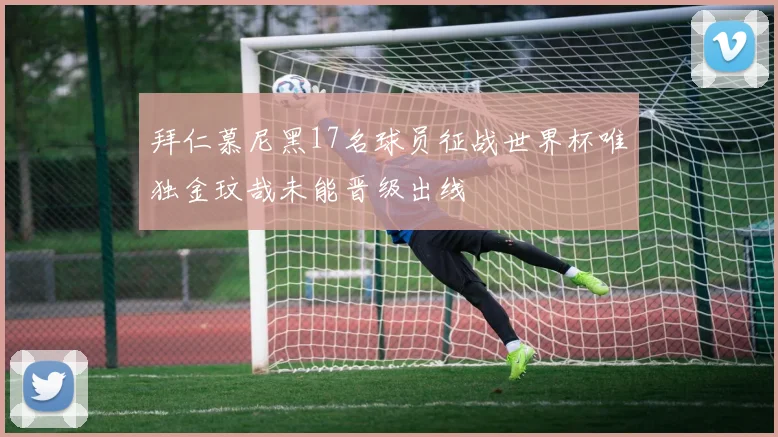 拜仁慕尼黑17名球员征战世界杯唯独金玟哉未能晋级出线